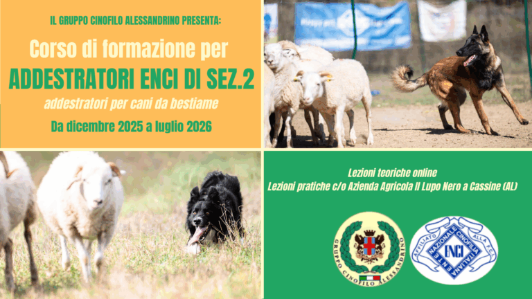 Corso addestratori ENCI sez.2 cani da bestiame