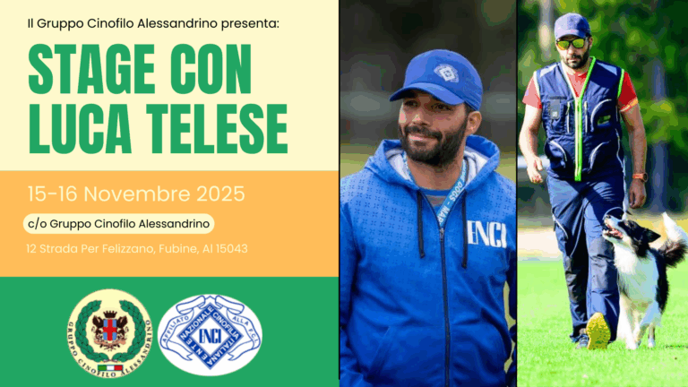 Stage cani da soccorso