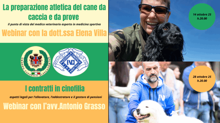 Ciclo di webinar